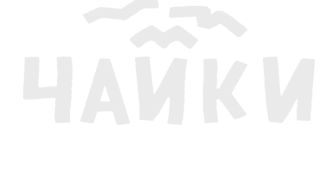 Логотип Московский инклюзивный театр «Чайки»